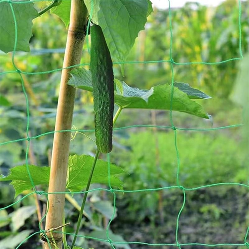 Mesh 9 Strands Agricultural Vi - Agriculture Farming Net 评论和价格