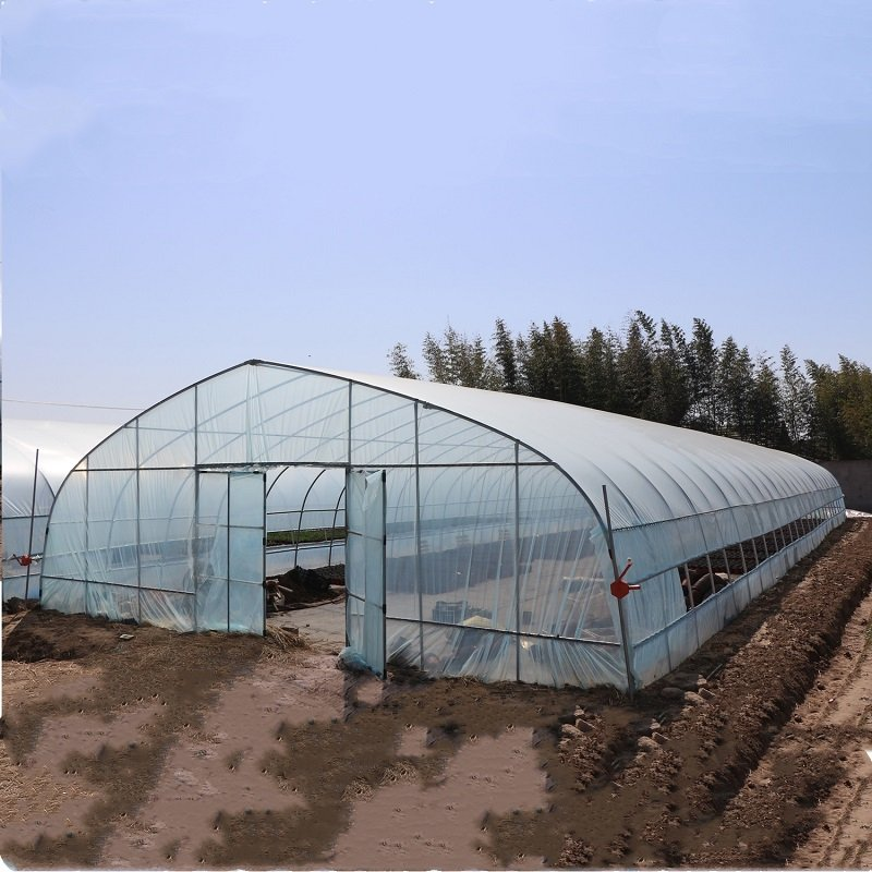 8x30 Metal Frame Commercial Si - Agriculture Tomato Farming 评论和价格