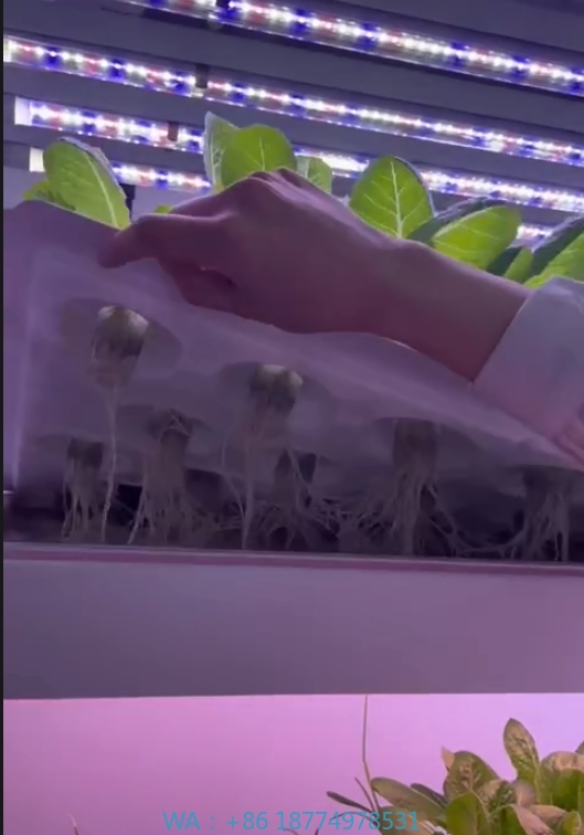 f Greenhouse Agricultural Equi - Farming Agriculture Equipment 评论和价格