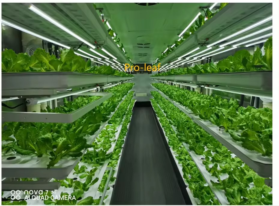 f Greenhouse Agricultural Equi - Farming Agriculture Equipment 评论和价格