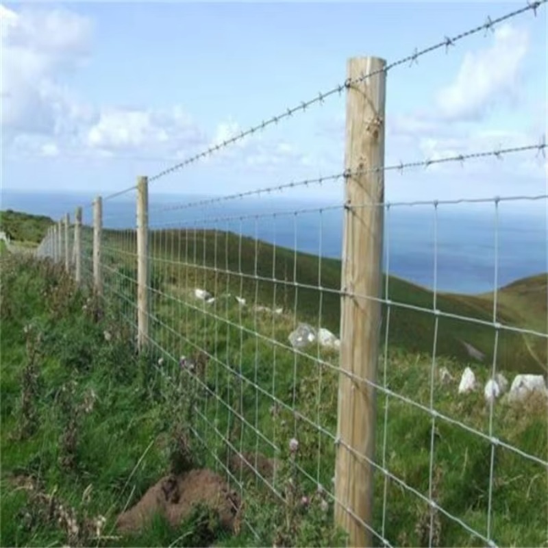 Customized Iron Wire Mesh Fixe - Farming In Agriculture 评论和价格