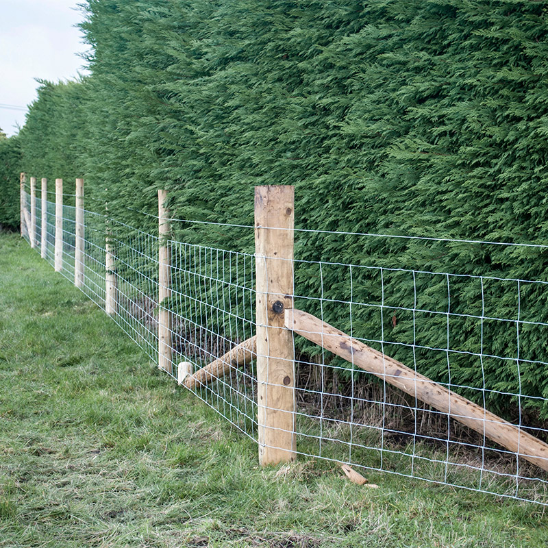 Customized Iron Wire Mesh Fixe - Farming In Agriculture 评论和价格
