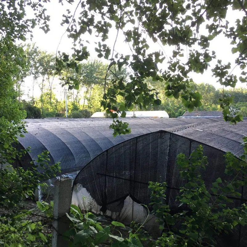35~80% Shading Anti-UV Black H - Agriculture Farming Net 评论和价格