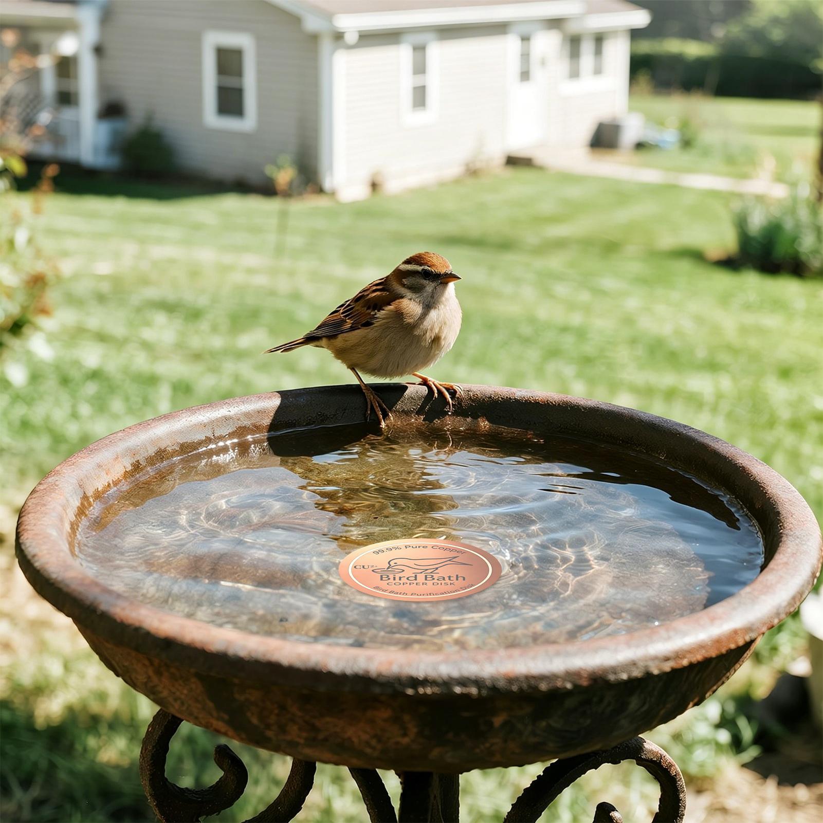 Bird Bath Copper Disc 0.6mm Th - Farming & Agriculture Word Stacks 评论和价格